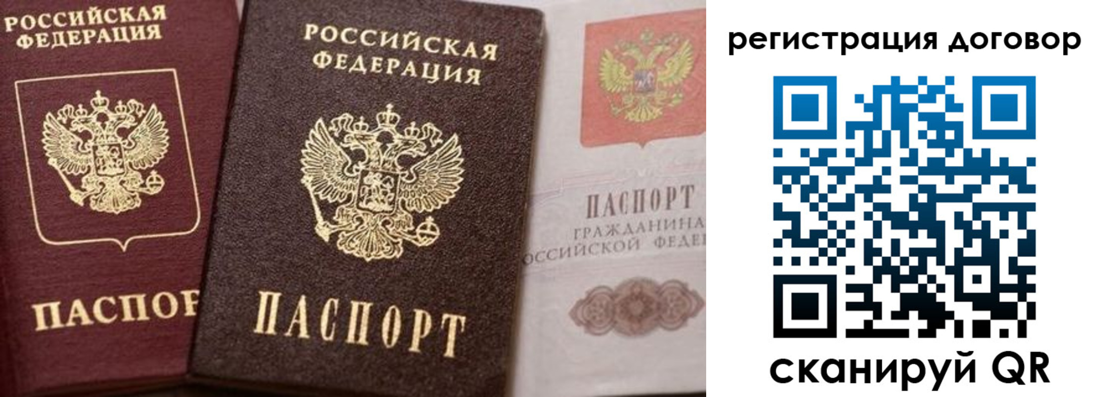 прописка 2025 в Коле