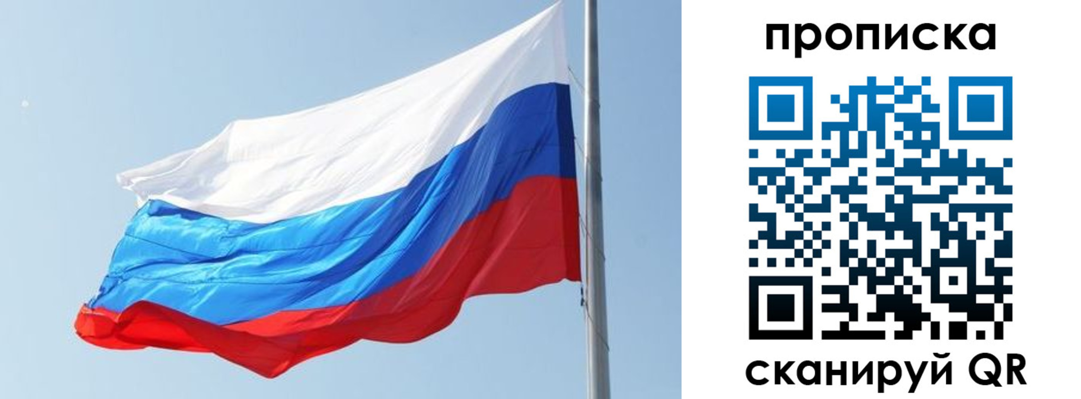 прописка для школы в Коле