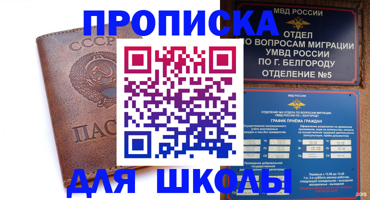 прописка для кредита в Коле